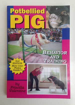 Potbellied Pig Behavior & Training